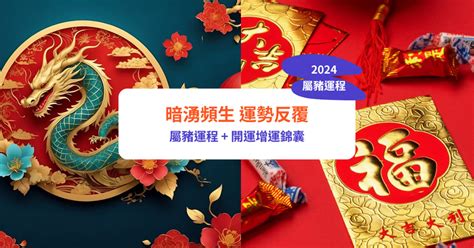 2024年 屬豬|【屬豬2024生肖運勢】暗湧頻生，運勢反覆｜屬豬運 